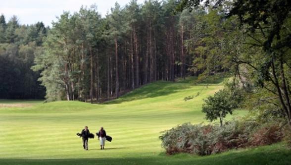 Dayz Sohojlandet Golf Resort Gjern Quarto foto